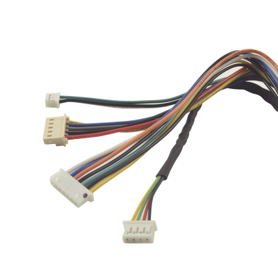 Juego de cables de conexion para Bioentry  plus
