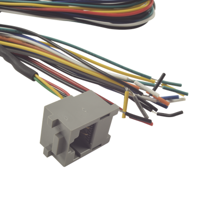 Juego de cables de conexion para Bioentry  plus