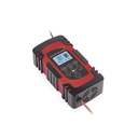 Cargador de Baterías / 12 o 24 Vcc / hasta 40 Ah / 2, 4 o 6 A / Display LCD
