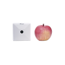 Sensor Inteligente de Presencia y Conteo de Personas LoRaWAN