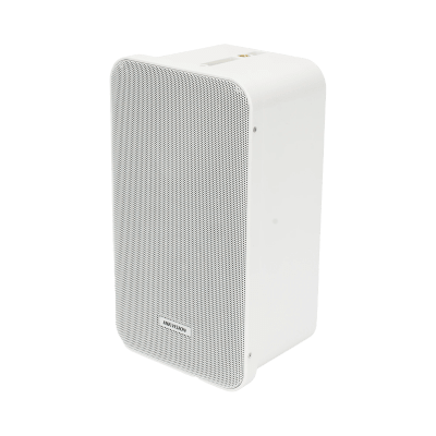 Kit de amplificador con bluetooth | 2 altavoces para pared | Sistema 100V |  2 Canales con Control de volumen Independiente |  Música Ambiental