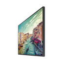 Pantalla Profesional LED de 43", UHD 4K (3840x2160p), Entradas de Video HDMI/DisplayPort/HDCP, Bocinas Integradas de 10 W. Compatible VESA