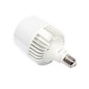 Foco LED para Alumbrado en Interior / Luz Fría / 100 W / 10000 lúmenes / 50000 hrs / Ángulo de Iluminación 240°