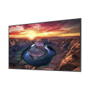 Pantalla Profesional LED de 75", UHD 4K (3840x2160p), Entradas de Video HDMI/DisplayPort, Bocinas Integradas de 10 W. Compatible VESA. Modo de Simulación DICOM