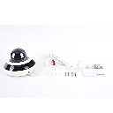 Mini PTZ IP 2 Megapixel / 4X Zoom / Audio Bidireccional / H.265+ / 20 mts IR EXIR / WDR 120 dB / PoE / IK10 / IP66 / Ultra Baja Iluminación / Micrófono Integrado / Micro SD