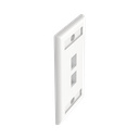 Placa de Pared Vertical, Salida Para 2 Puertos Keystone, Con Espacios Para Etiquetas, Color Blanco