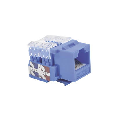 Módulo Jack 110 Cat6, Keystone para faceplate - Color Azul