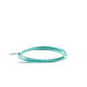 Cable de Parcheo UTP Categoría 6, con Plug Modular en Cada Extremo - 2 Metros (6.56 Pies) - Verde