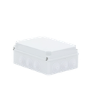 Caja Estanca de PVC Para Derivación y Conexión, 12 Entradas, Tapa Atornillada, 300x220x120 mm  (Área interna), Uso Exterior IP55, Material que no Propaga el Fuego y Libre de Hálogenos