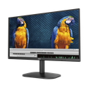 Monitor LED de 23.8" VESA, Resolución 1920 x 1080 Pixeles, Entradas de Video VGA/HDMI. Panel VA LCD Backlight LED. Ultra Delgado