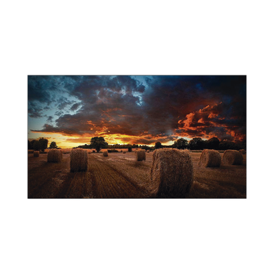 [VM55BU] Pantalla Profesional LED de 55" para Video Wall, Full HD (1080p), HDMI/DVI-D/DP, Bisel Ultra Delgado de 2.3mm. Compatible VESA 600x400