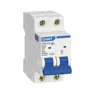 Pastilla para Riel Din, 2 Polos, 10 Amp, Vca:110/415v, 6kA, Catálogo: NXB632PC10.