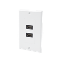 Placa de Pared de 2 Puertos HDMI Hembra a Hembra