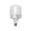 Foco LED para Alumbrado en Interior / Luz Fría / 100 W / 10000 lúmenes / 50000 hrs / Ángulo de Iluminación 240°