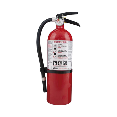 [FX210R-1] Extintor Desechable de Polvo Químico Seco | Fuegos Clase A, B y C | Residencial | Pieza de 4 lb