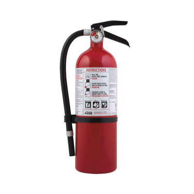 [FX340GW-1] Extintor Desechable de Polvo Químico Seco | Fuegos Clase A, B y C | Talleres y Garaje |Pieza | Cilindro Blanco 5.5 lb