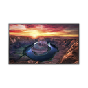 Pantalla Profesional LED de 75", UHD 4K (3840x2160p), Entradas de Video HDMI/DisplayPort, Bocinas Integradas de 10 W. Compatible VESA. Modo de Simulación DICOM