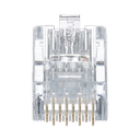 Plug RJ45 Cat5e, Para Cable UTP de Calibres 24-26 AWG, Chapado en Oro de 50 Micras, Paquete de 50 Piezas
