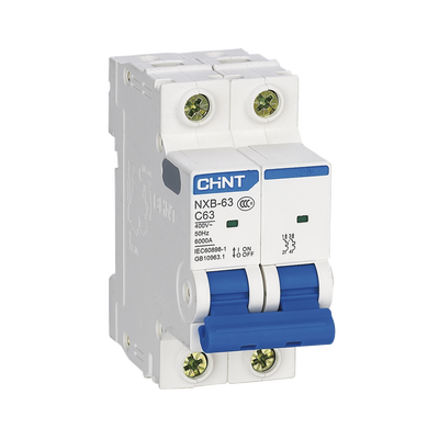 [NXB632PC20] Pastilla para Riel Din, 2 Polos, 20 Amp, Vca:110/415v, 6kA, Catálogo: NXB632PC20, Serie: NXB-63.